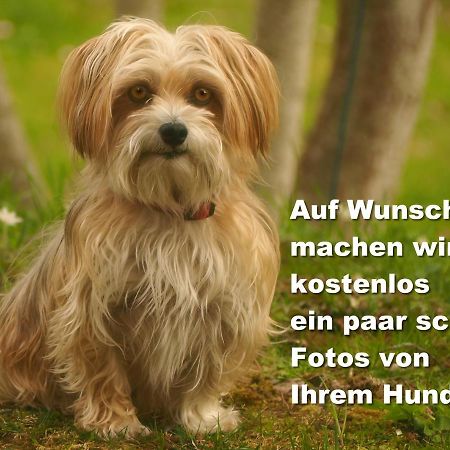 C2 Albmatte-Fewo , Hallenbad Aussenbecken Massagen Nebenan St. Blasien Luaran gambar
