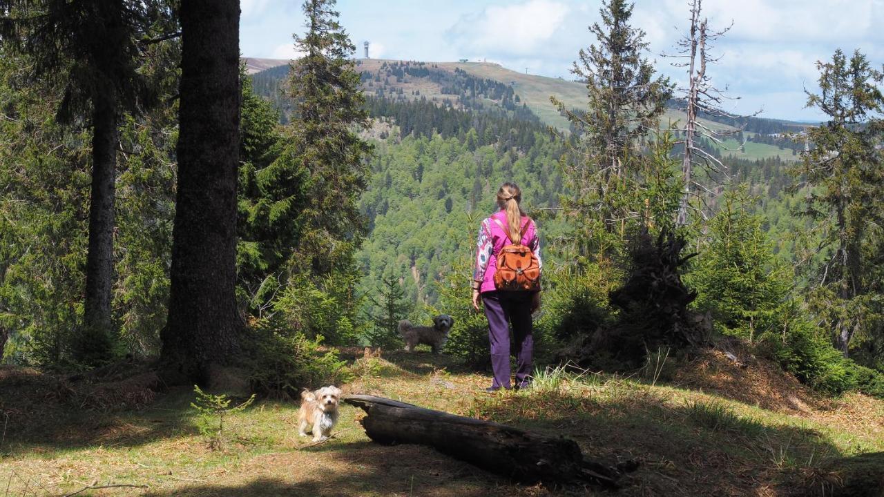 C2 Albmatte-Fewo , Hallenbad Aussenbecken Massagen Nebenan St. Blasien Luaran gambar