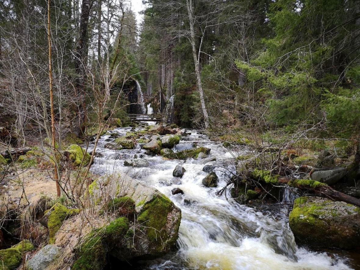 C2 Albmatte-Fewo , Hallenbad Aussenbecken Massagen Nebenan St. Blasien Luaran gambar