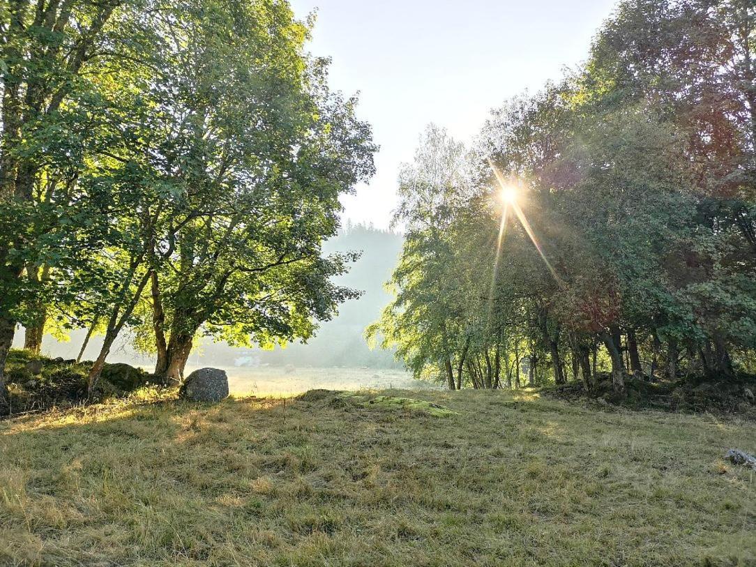 C2 Albmatte-Fewo , Hallenbad Aussenbecken Massagen Nebenan St. Blasien Luaran gambar