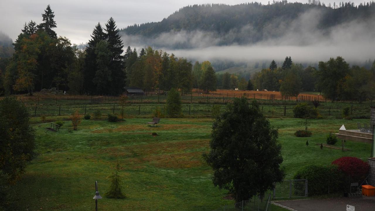 C2 Albmatte-Fewo , Hallenbad Aussenbecken Massagen Nebenan St. Blasien Luaran gambar