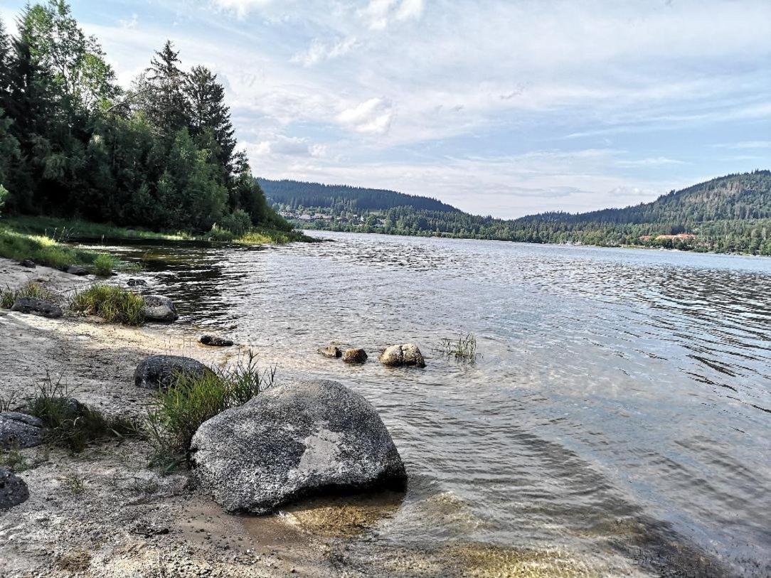C2 Albmatte-Fewo , Hallenbad Aussenbecken Massagen Nebenan St. Blasien Luaran gambar
