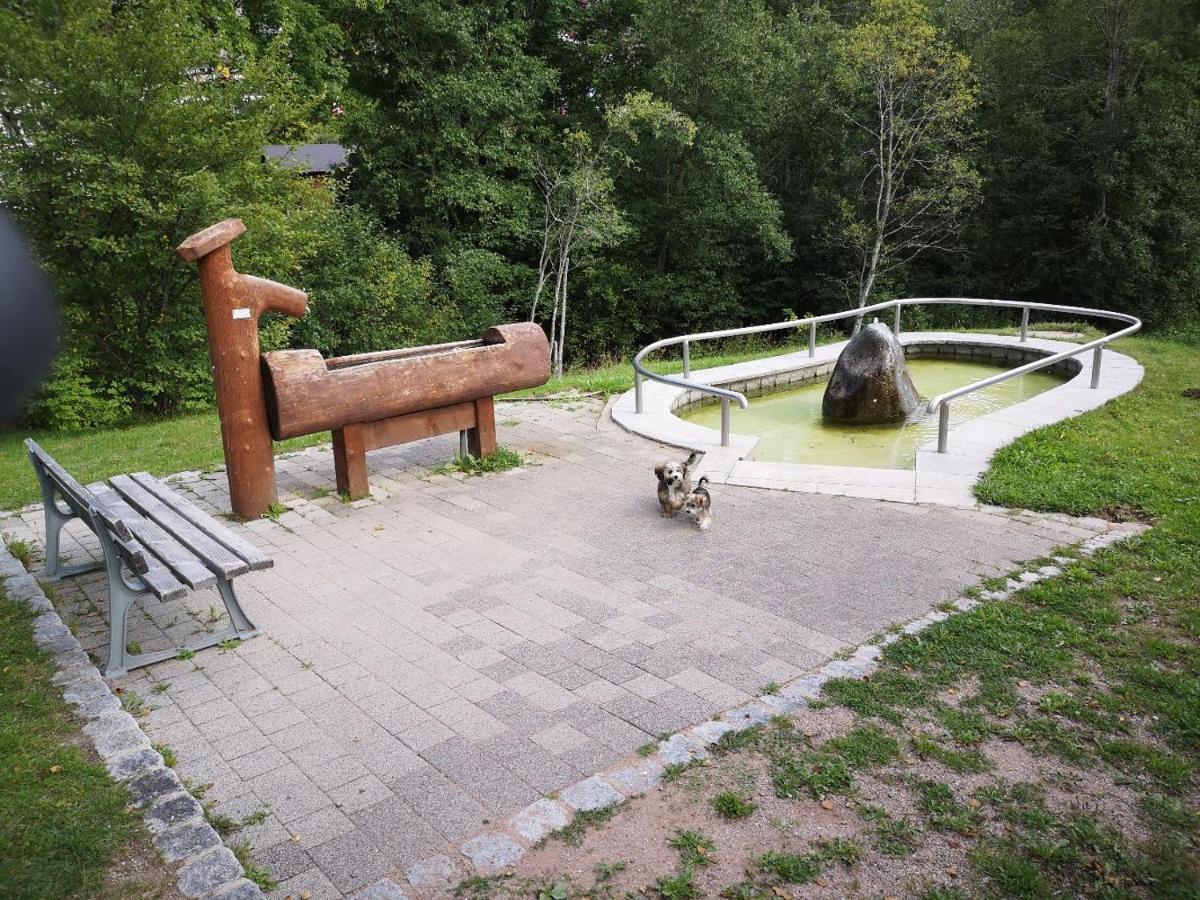 C2 Albmatte-Fewo , Hallenbad Aussenbecken Massagen Nebenan St. Blasien Luaran gambar