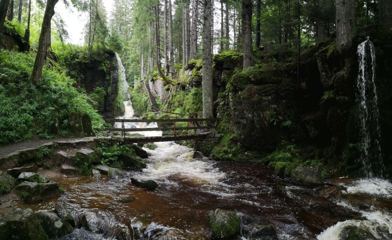 C2 Albmatte-Fewo , Hallenbad Aussenbecken Massagen Nebenan St. Blasien Luaran gambar