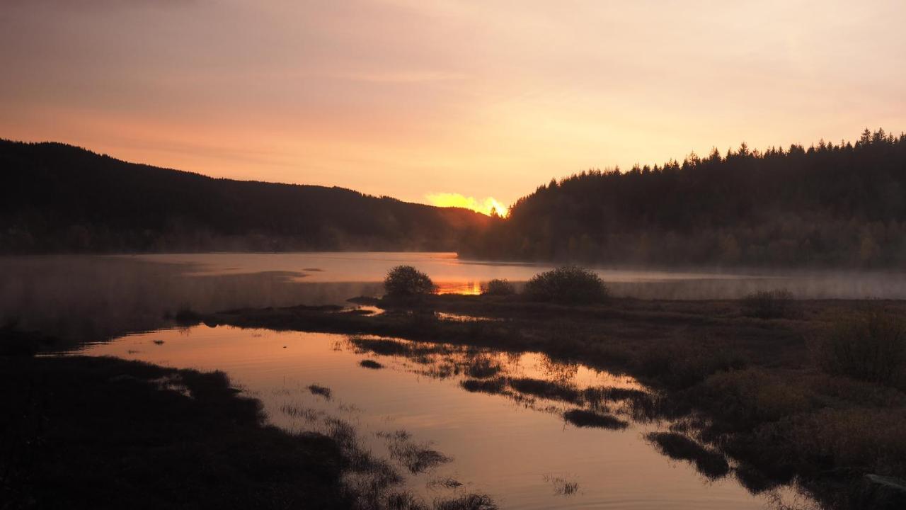 C2 Albmatte-Fewo , Hallenbad Aussenbecken Massagen Nebenan St. Blasien Luaran gambar