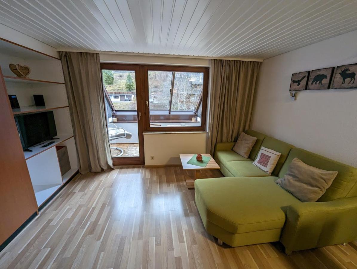 C2 Albmatte-Fewo , Hallenbad Aussenbecken Massagen Nebenan St. Blasien Luaran gambar