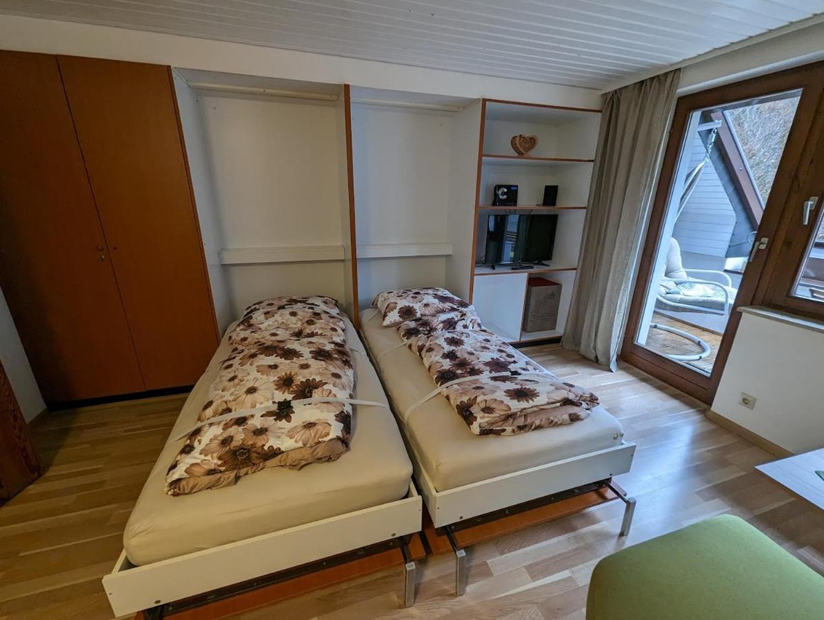 C2 Albmatte-Fewo , Hallenbad Aussenbecken Massagen Nebenan St. Blasien Luaran gambar