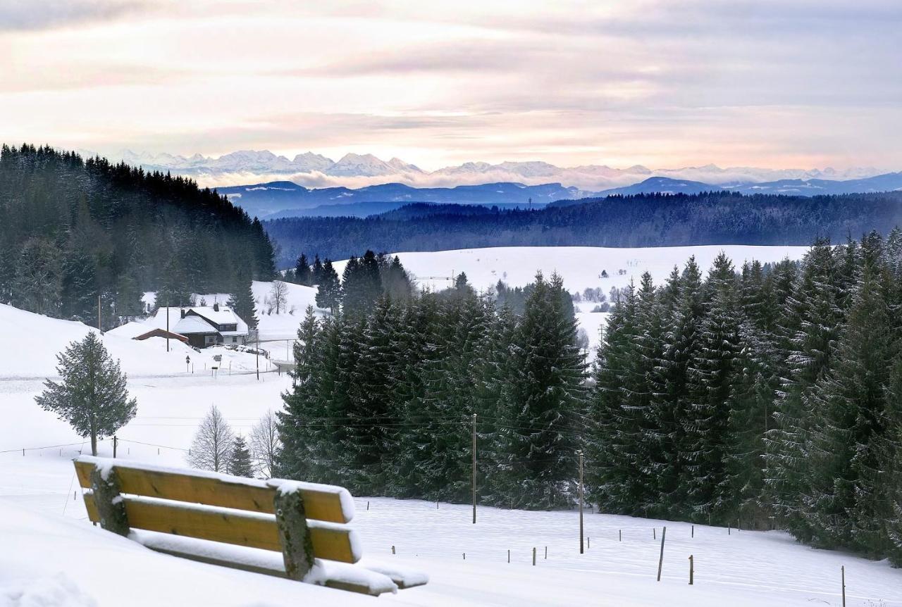 C2 Albmatte-Fewo , Hallenbad Aussenbecken Massagen Nebenan St. Blasien Luaran gambar