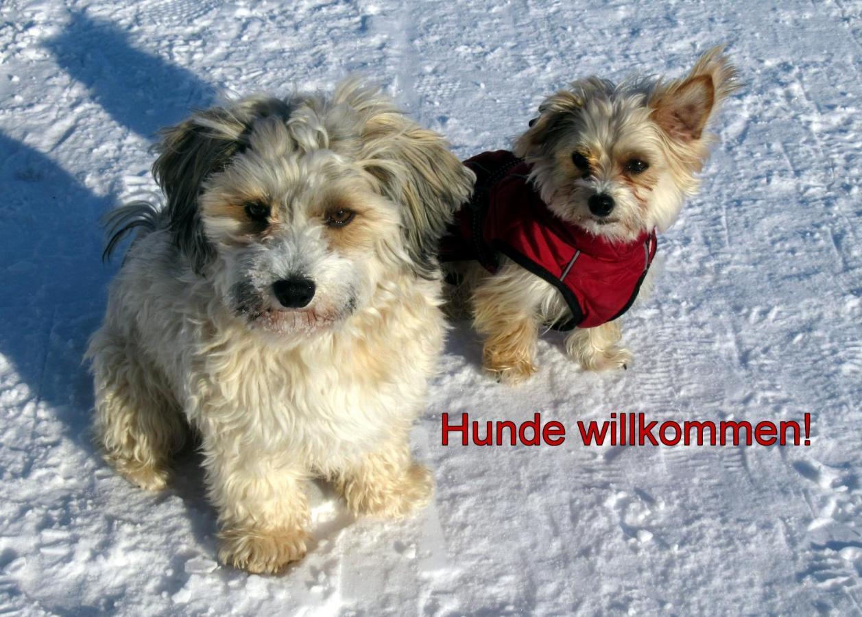C2 Albmatte-Fewo , Hallenbad Aussenbecken Massagen Nebenan St. Blasien Luaran gambar