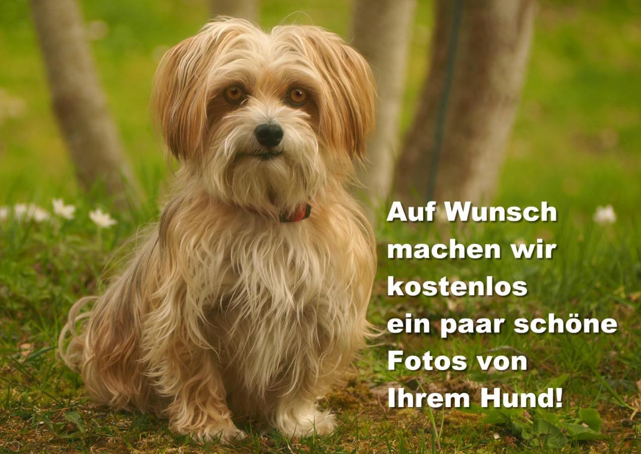 C2 Albmatte-Fewo , Hallenbad Aussenbecken Massagen Nebenan St. Blasien Luaran gambar
