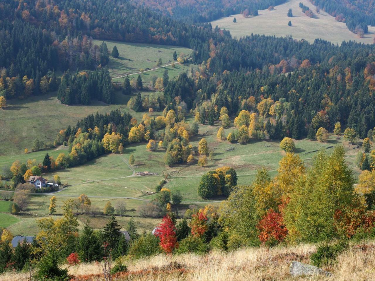 C2 Albmatte-Fewo , Hallenbad Aussenbecken Massagen Nebenan St. Blasien Luaran gambar