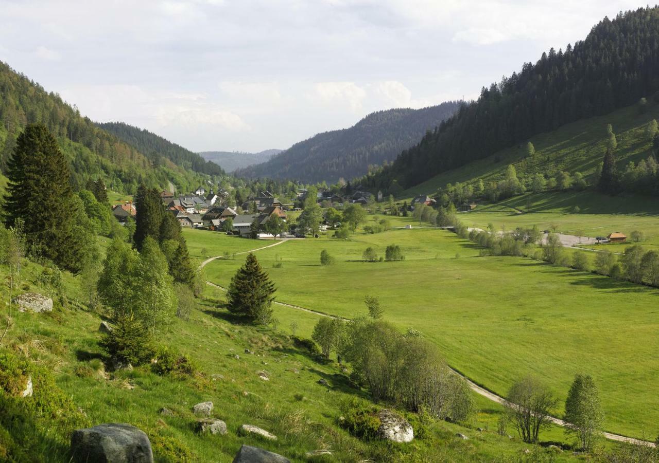 C2 Albmatte-Fewo , Hallenbad Aussenbecken Massagen Nebenan St. Blasien Luaran gambar