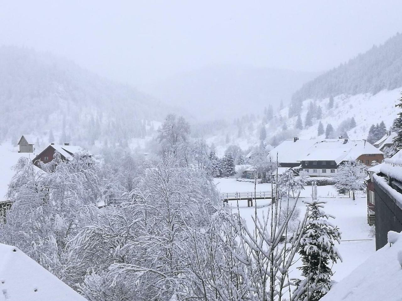 C2 Albmatte-Fewo , Hallenbad Aussenbecken Massagen Nebenan St. Blasien Luaran gambar