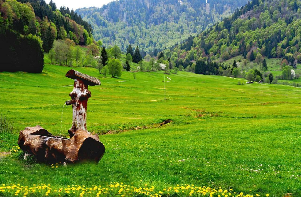 C2 Albmatte-Fewo , Hallenbad Aussenbecken Massagen Nebenan St. Blasien Luaran gambar