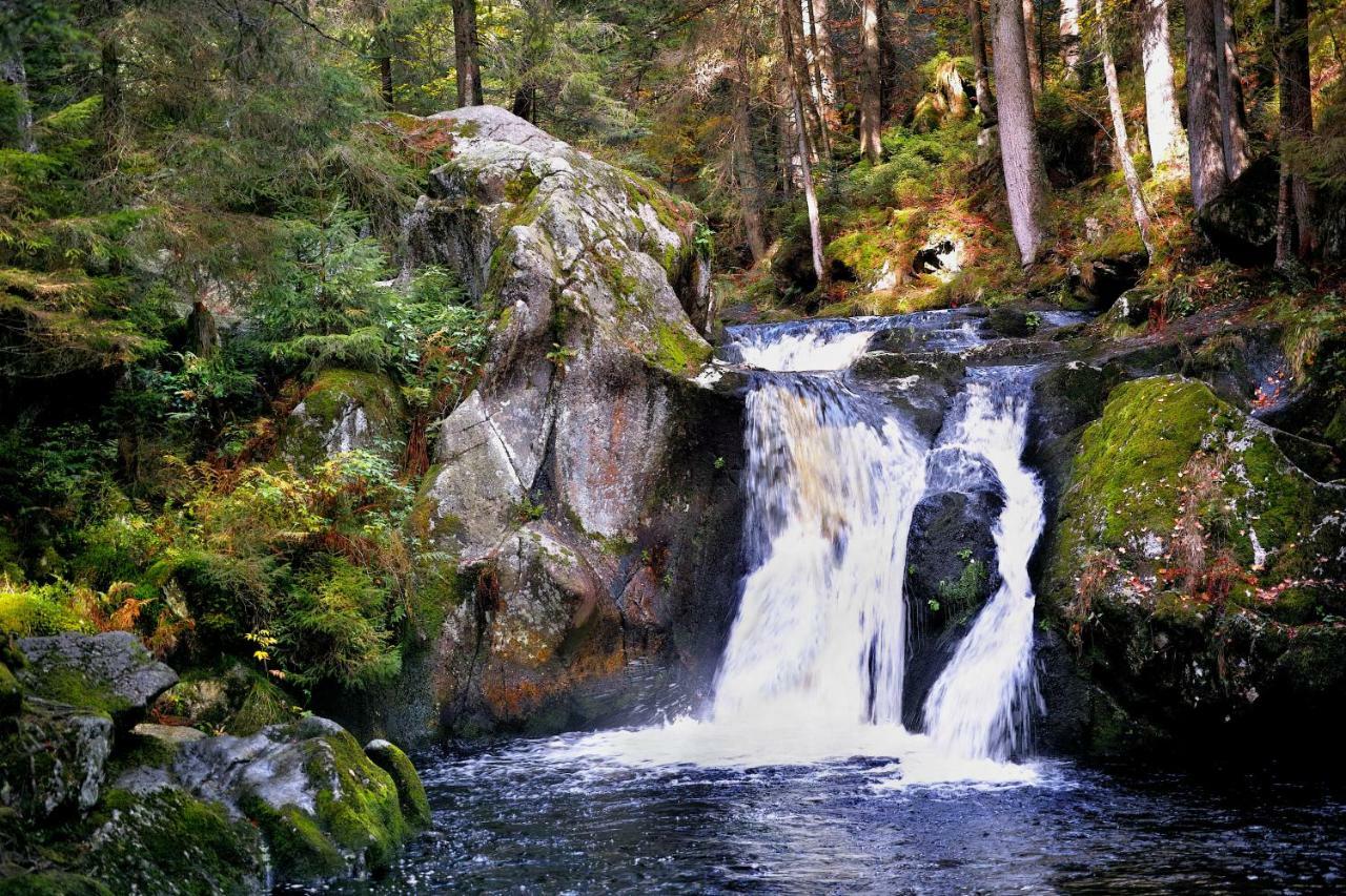 C2 Albmatte-Fewo , Hallenbad Aussenbecken Massagen Nebenan St. Blasien Luaran gambar