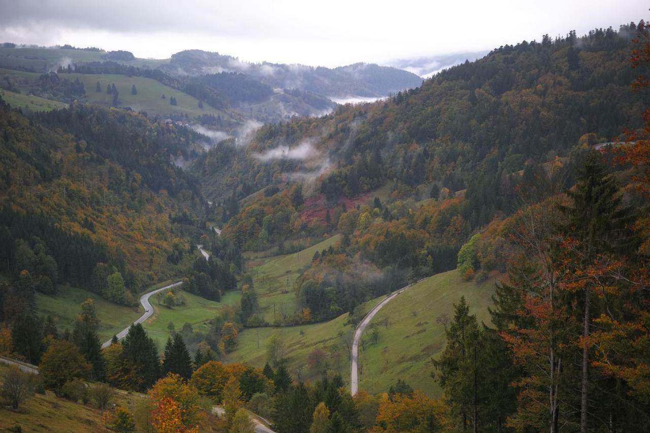 C2 Albmatte-Fewo , Hallenbad Aussenbecken Massagen Nebenan St. Blasien Luaran gambar